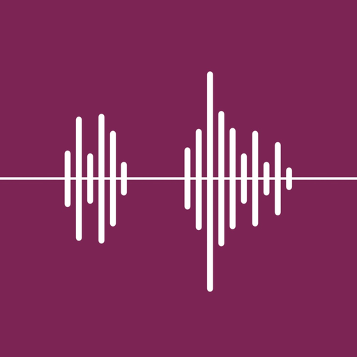 SplitPlayer: Silence Detector app icon