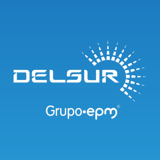 Delsur app icon