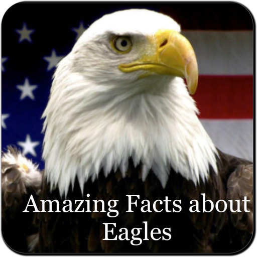 Amazing Eagles Facts 1800 app icon