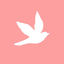 Algo bonito icon