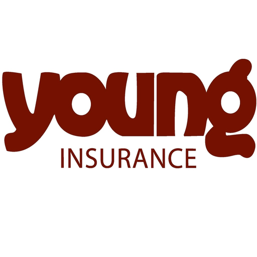 W A Young Insurance Online app icon