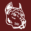 CarDog CRM icon