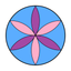 FenestratioClient icon