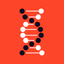 Disciple Maker’s (DM) Lab icon