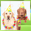Puzzle Pets Dogs Cats Game icon