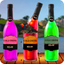 Bottle Expert Shooting 3D icon