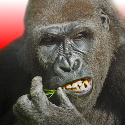 Flying Gorilla app icon