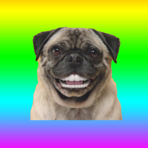 Animated Dog Stickers app icon