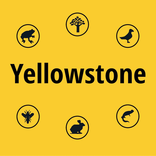 Yellowstone NP Field Guide app icon