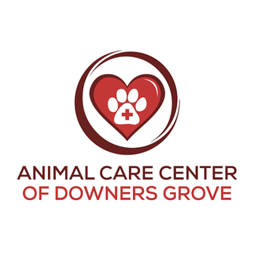 ACC Downers Grove app icon