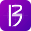 Auto Bible -Automatically find icon
