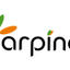 Arpinet for TV icon