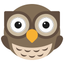 Owl Square icon