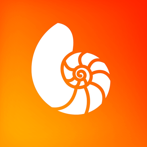 Bayside Bluetooth Fireplace app icon