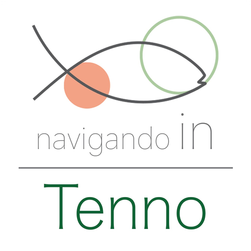 Tenno app icon