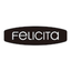 Felicita Scale icon
