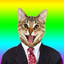 Animated Cat Stickers . icon