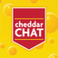 Cheddar Chat icon