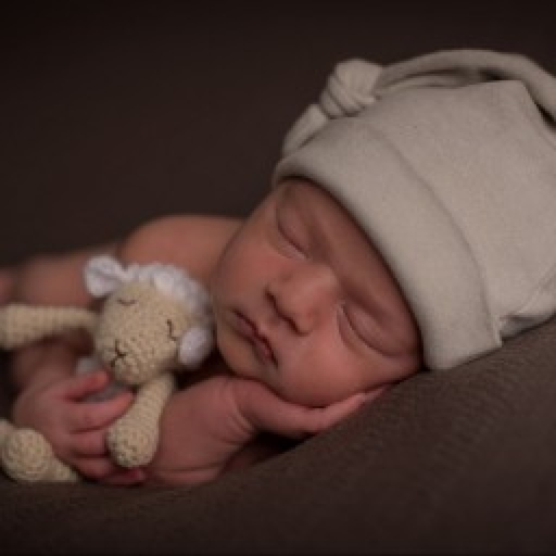 Ricette Babymeal app icon