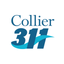 Collier 311 icon