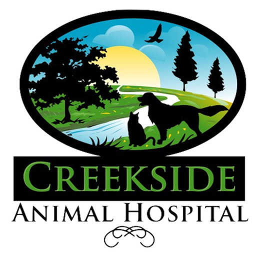 My Creekside Vet app icon
