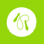 Skipping Flow icon