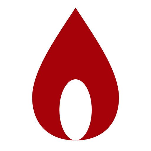 VirtualFreedan app icon
