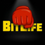 BitLife - Life Simulator icon