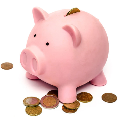 Money Flow - Save Your Money app icon