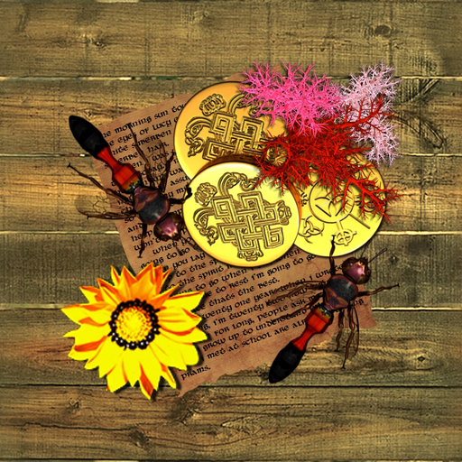 Cwest Myrddin - Ail Iaith app icon