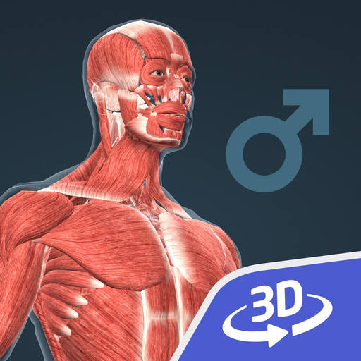 Human body (male) 3D app icon