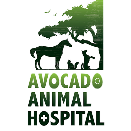 Avocado Vet app icon
