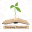 Morning Mustard icon