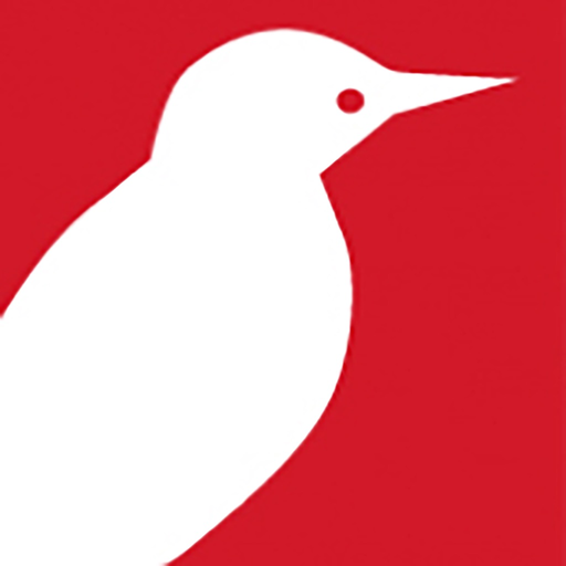 Picchio News Official app icon
