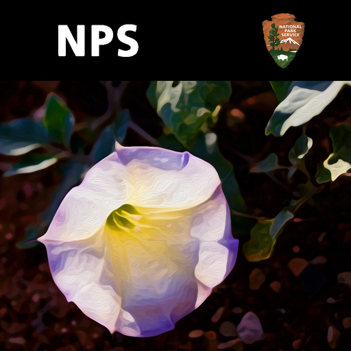 Zion Park Wildflowers app icon
