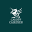 Cardiff Gov icon