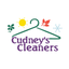 Cudney's Cleaners icon