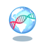 My Ancestry Profile & Heritage icon