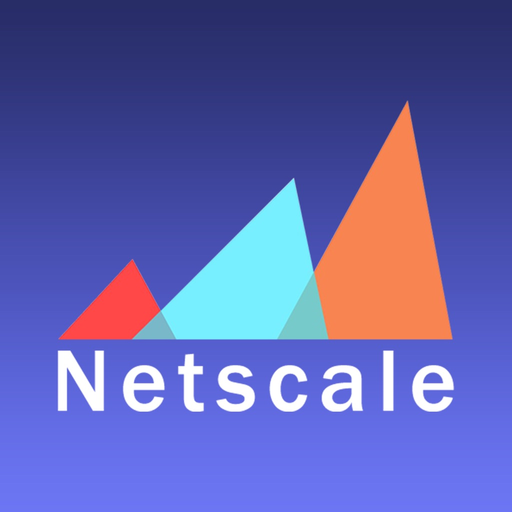 NetScale app icon