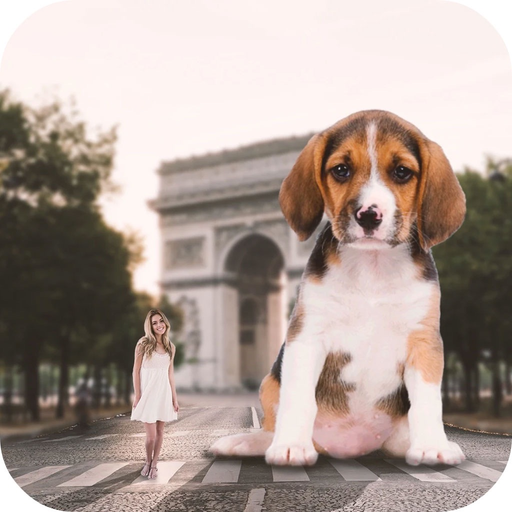 Big Camera -Giant Camera Photo app icon