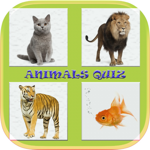 Animals Quiz Game In World app icon