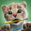 Little Kitten: Pet Cat School icon