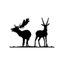 Hill Country Exotics Cameras icon