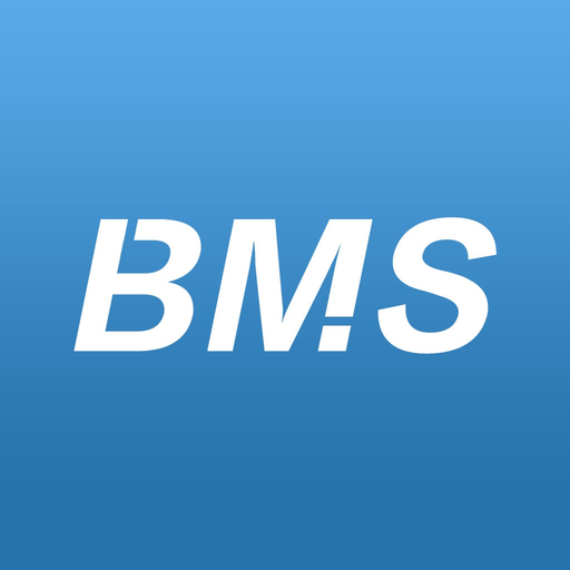 WiseBMS app icon