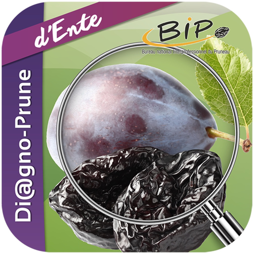 Di@gno-Prune app icon