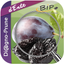 Di@gno-Prune icon
