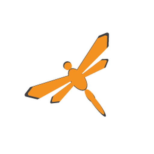 DragonFly4 app icon