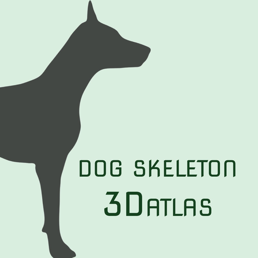 Dog Skeleton 3D Atlas app icon