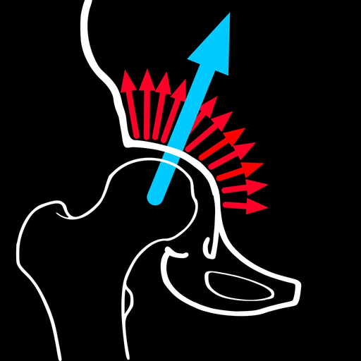 HipBiomechanicsApp app icon
