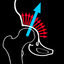HipBiomechanicsApp icon